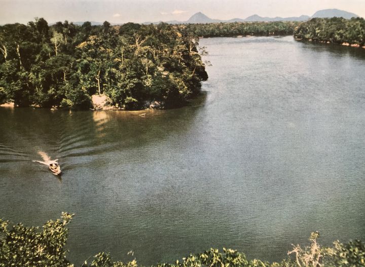 Die Theorie Humboldts kann endlich bestätigt werden: Strömungsmessungen an der Bifurkation des Orinocos. Bild: Karl Weidmann (der Fotograf hatte für diese Aufnahme einen 40 Meter hohen Urwaldriesen zu erklimmen).