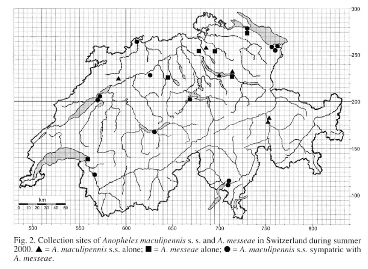 ...und auch im Jahre 2000 fanden sich Populationen über die ganze Schweiz verteilt. Bild: Hans Briegel.